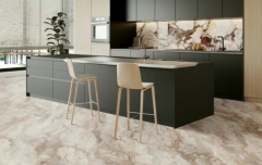 <strong>具有际先辈甚至国际领先程度的科技</strong>